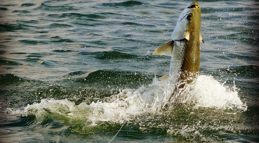 Photo Apr 16, 6 05 37 PM