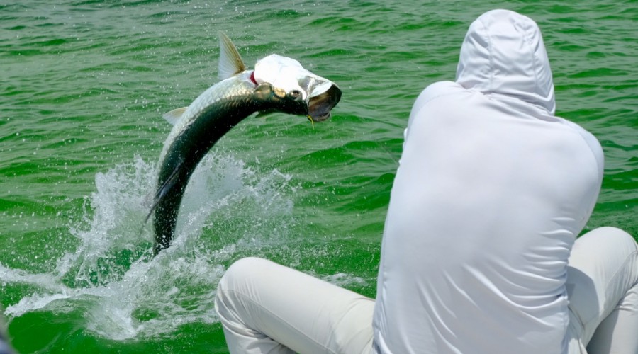 Photo Jun 01, 1 07 34 PM