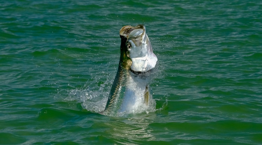 Photo May 06, 4 27 38 PM